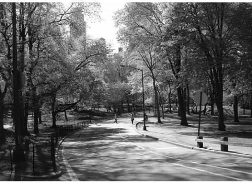 Central Park