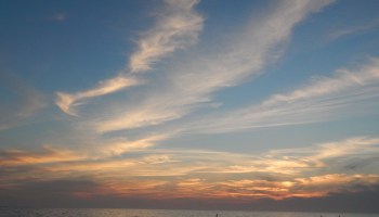 DSCN0078