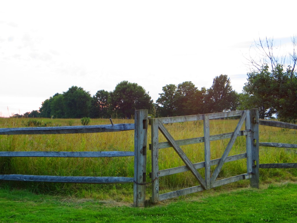 The Person They Remember is Not the Person I&nbsp;Know