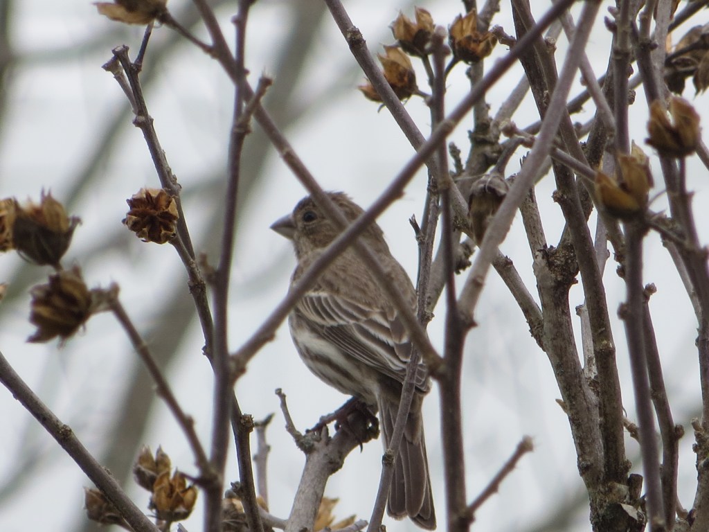 The Empty Nest Isn’t&nbsp;Empty
