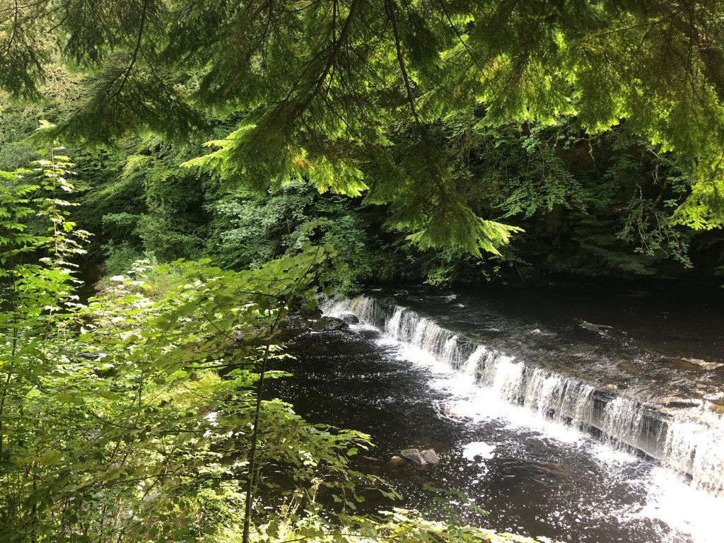 🏴󠁧󠁢󠁳󠁣󠁴󠁿Scotland Countryside🏴󠁧󠁢󠁳󠁣󠁴󠁿