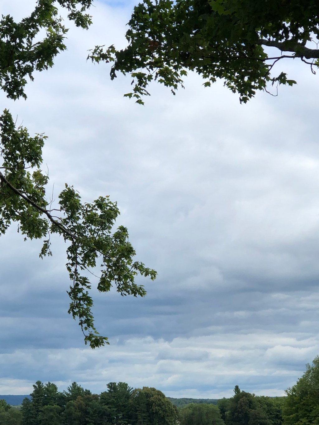 Tuesday Encouragement