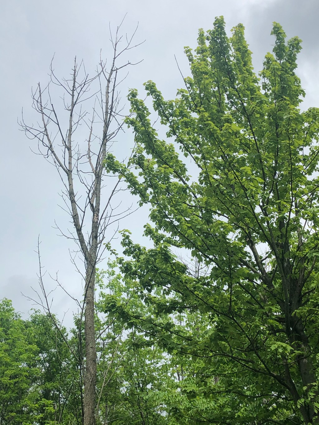 Empty and Barren. Full and&nbsp;Bountiful.