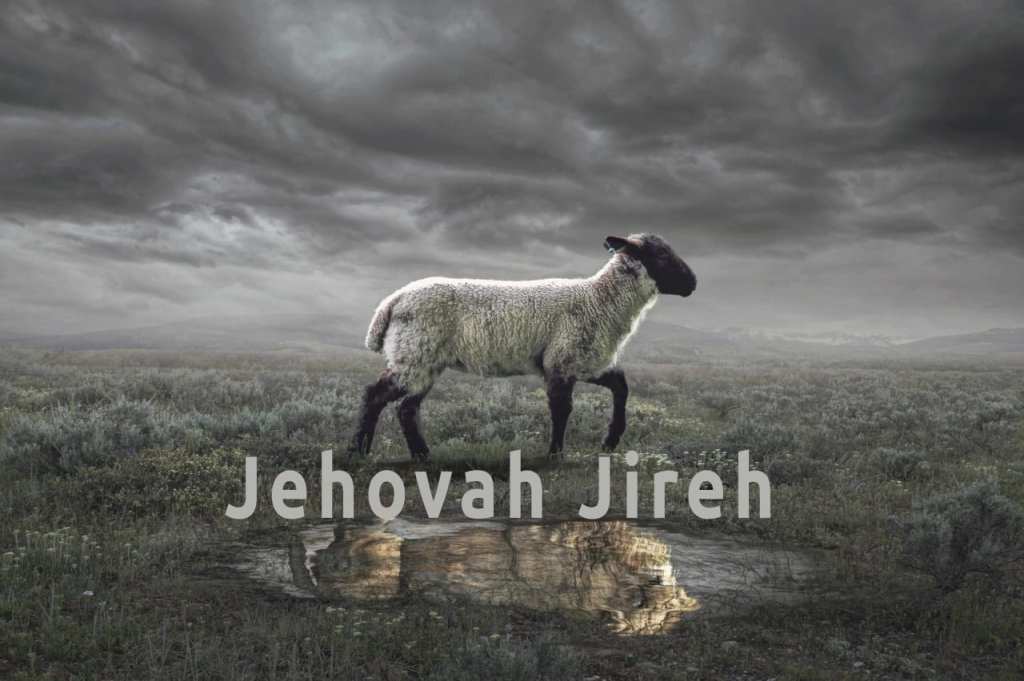 Moving Forward in&nbsp;Faith