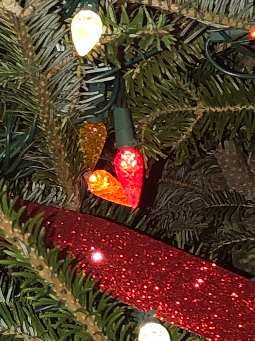 A Heart in the&nbsp;Tree🎄