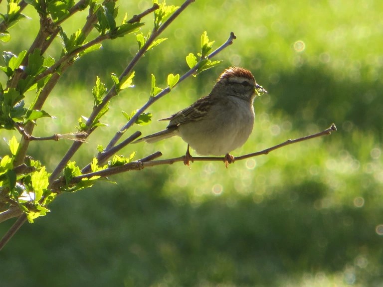 Poem Published on Spillwords&nbsp;Press