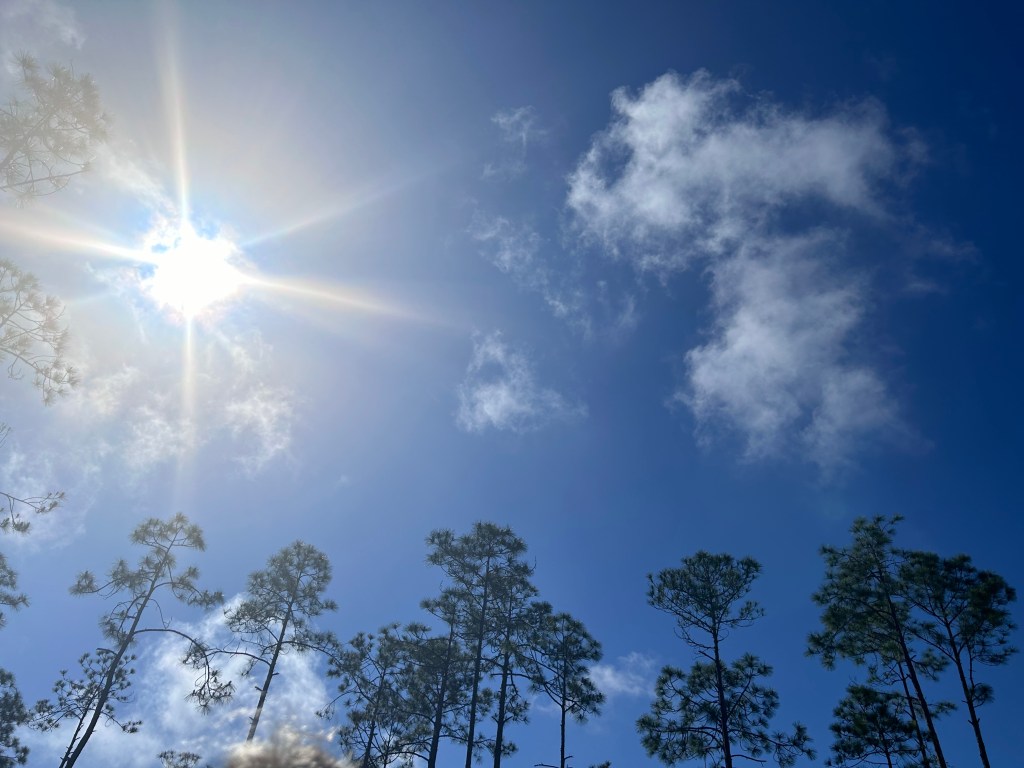 Does Stillness Equal Laziness? A Good Question for the Summer&nbsp;Months