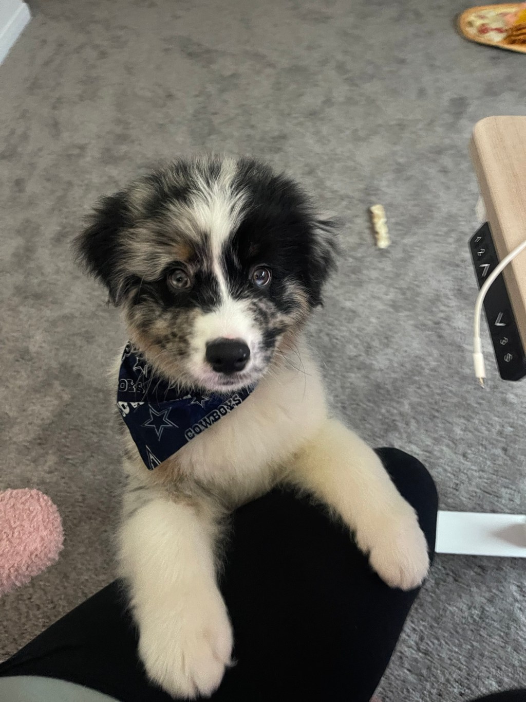 I wasn’t much of a dog person&nbsp;until…🐾