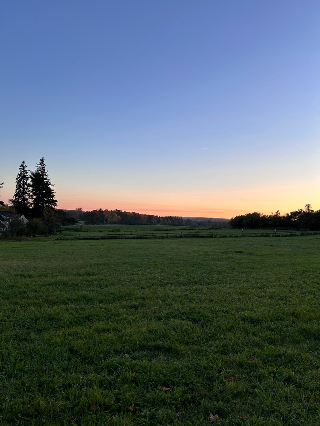 Silent Sunday-Intentional Quiet