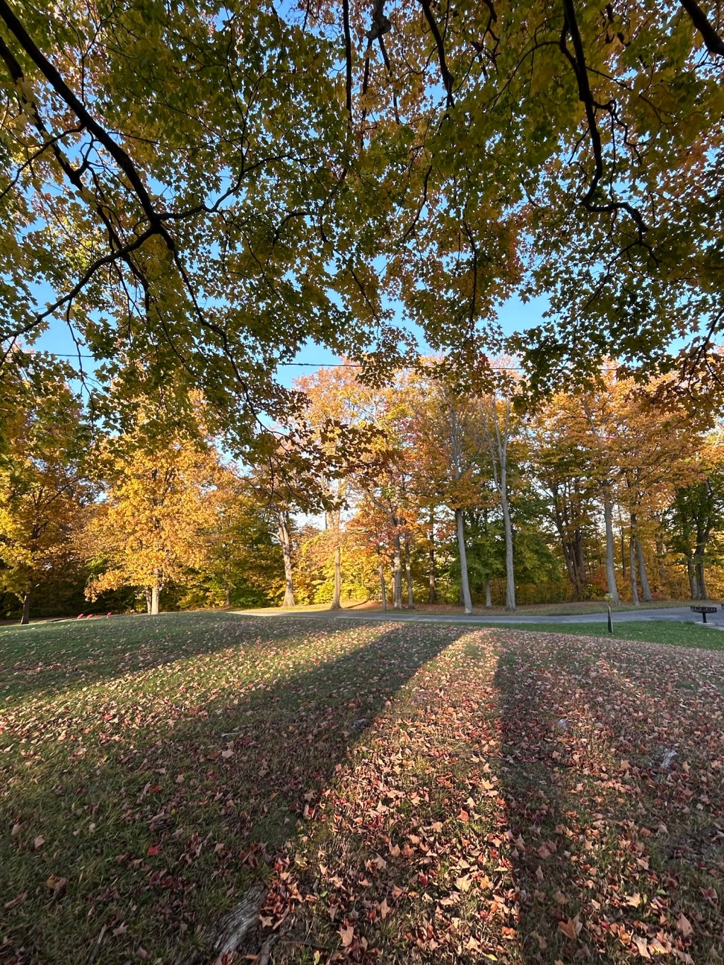 Silence Whether I Wanted it or&nbsp;Not