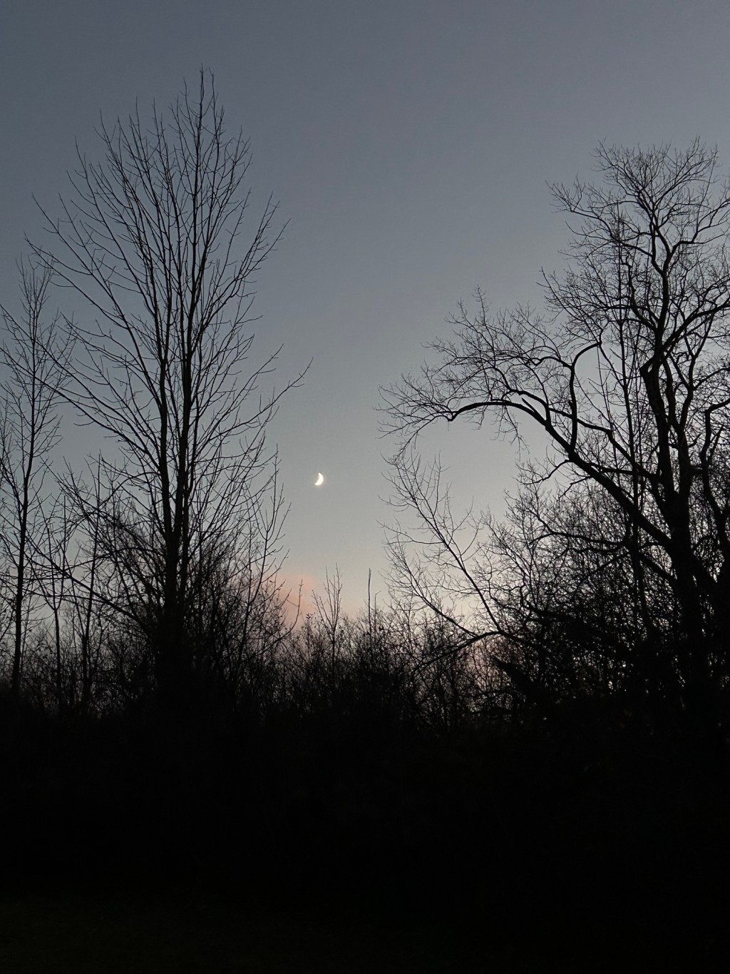 Wordless Wednesday-November at&nbsp;Dusk