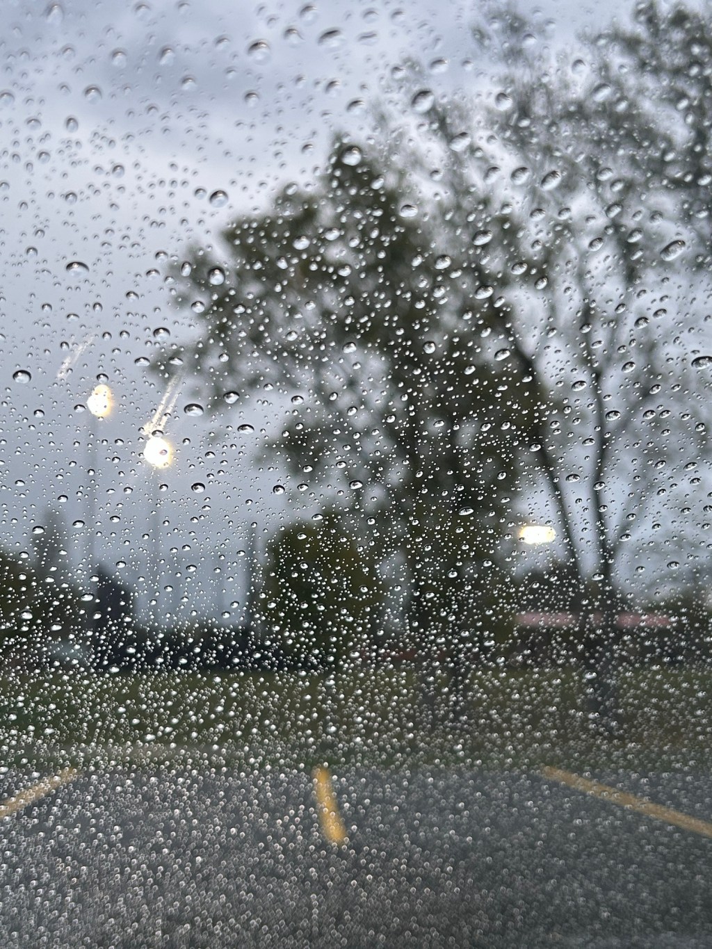Handstands in the&nbsp;Rain