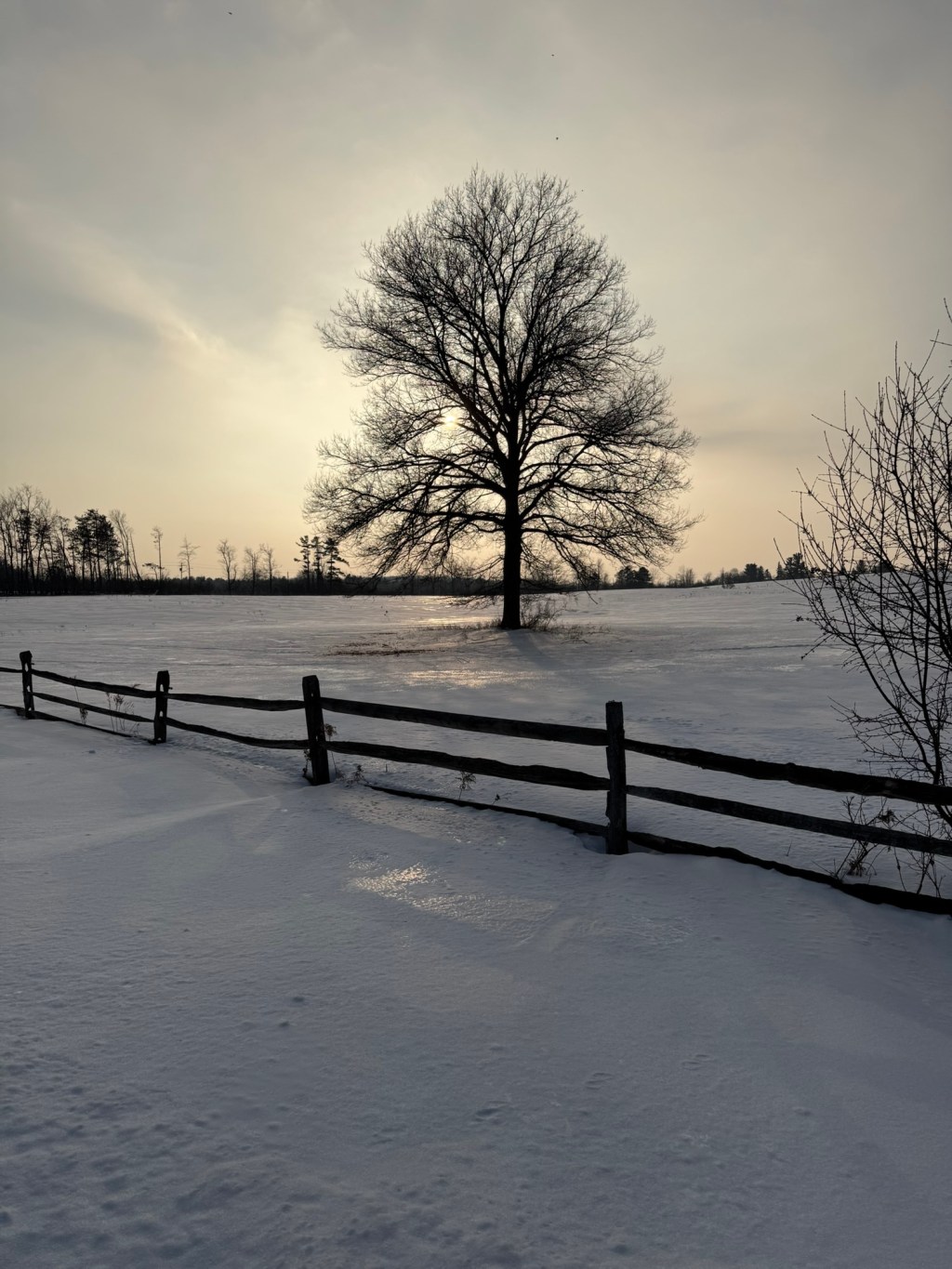 Spring is Days&nbsp;Away