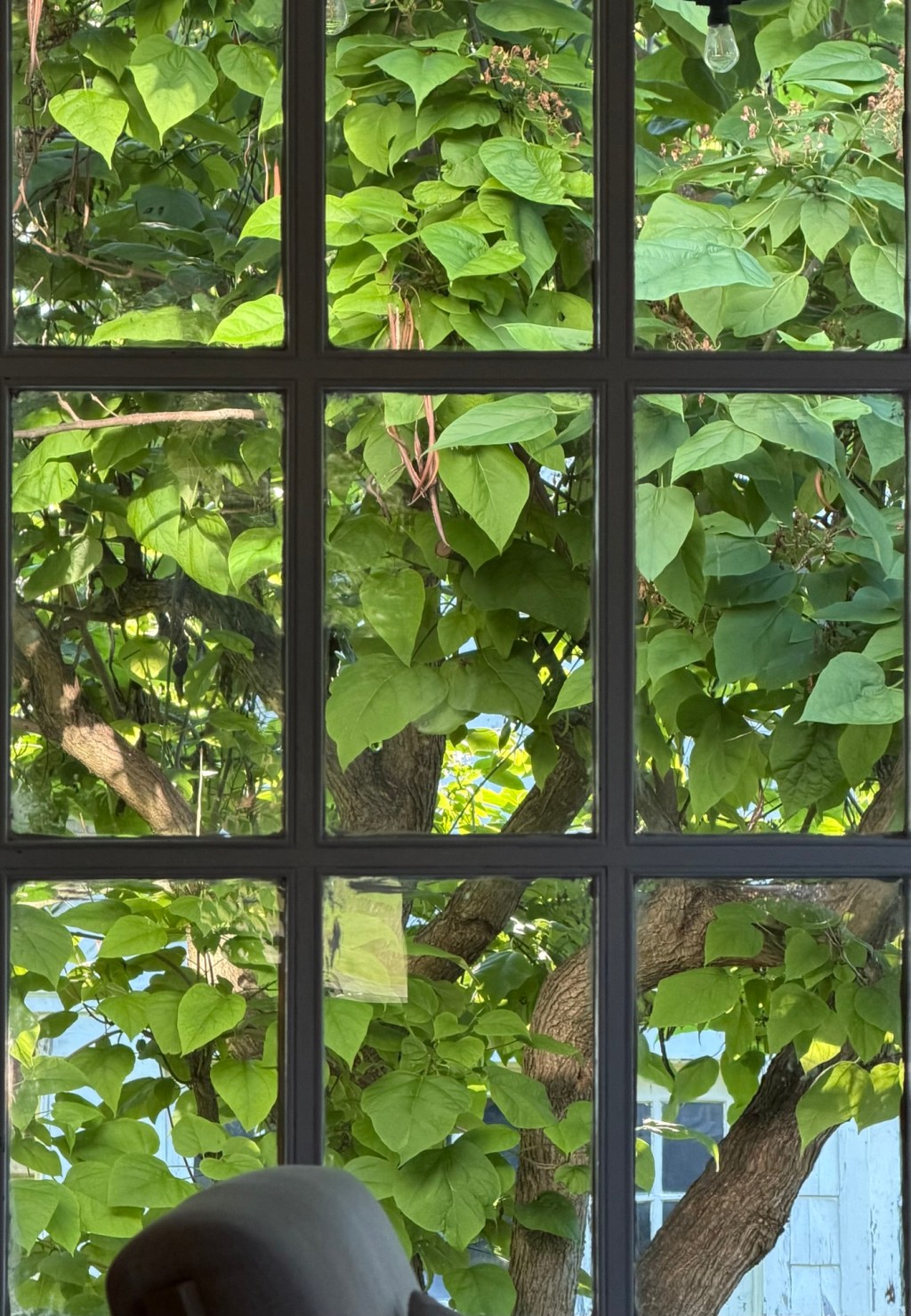 Through the Window