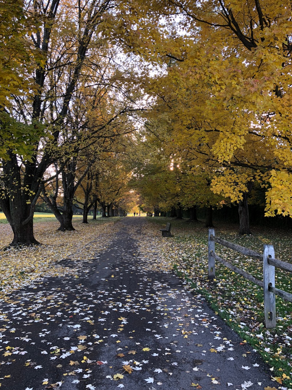 Autumn