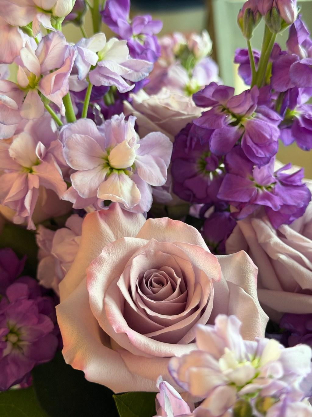 Purple Petals